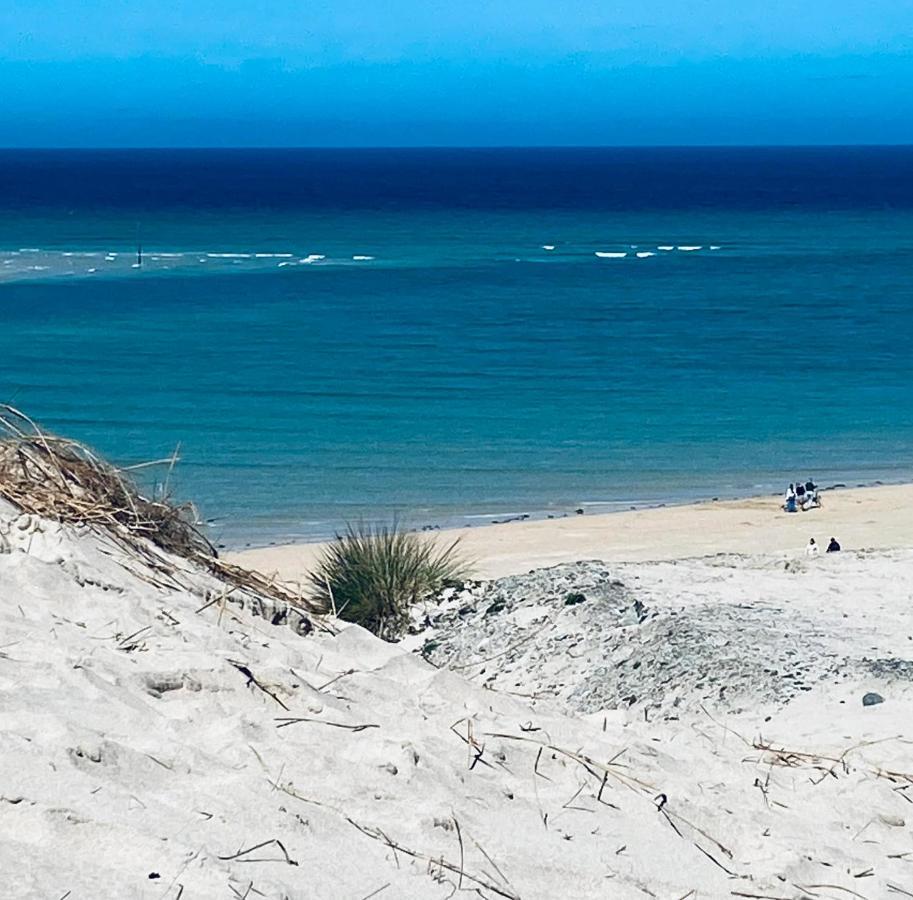 Sandy Bay Apartment, St Ives Bay, Hayle Bagian luar foto